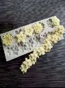 Assorted Flowers silicon